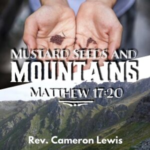 Mustard Seeds and Mountains