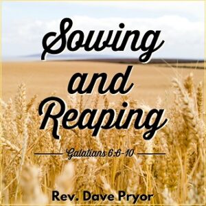 Sowing and Reaping