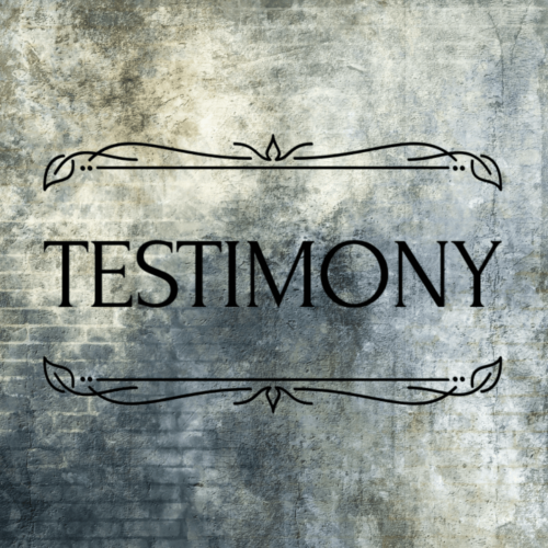 Testimony by Lance Ellis